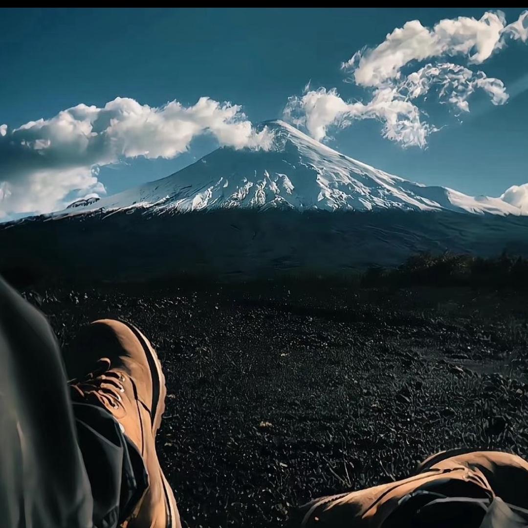 裤里男（剑齿虎专场）