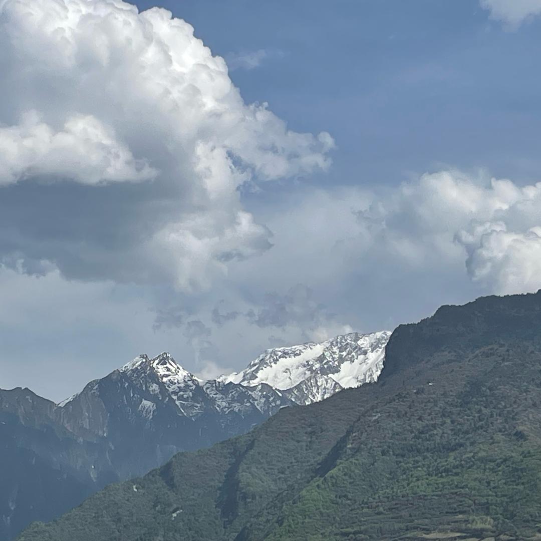 大表姐中式养生