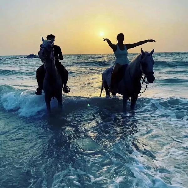 榆林旗酒吧.  李乔