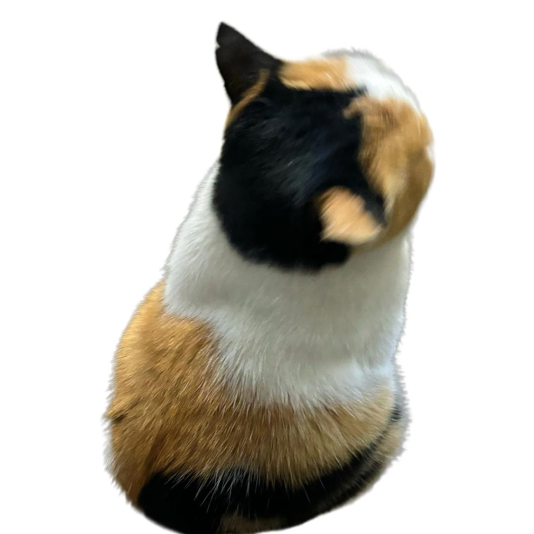 老公为小三出走的那个雨夜