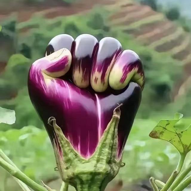 修身养性