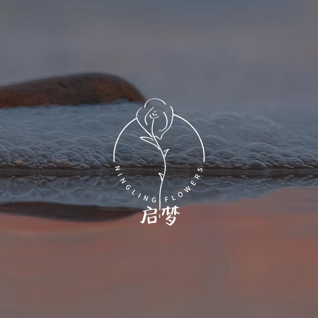 启梦舞蹈艺术工作室官方号