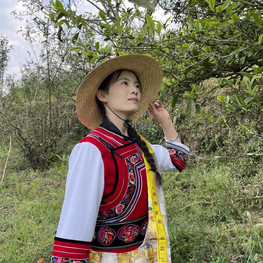白莺山茶农合作社_海霞家的茶