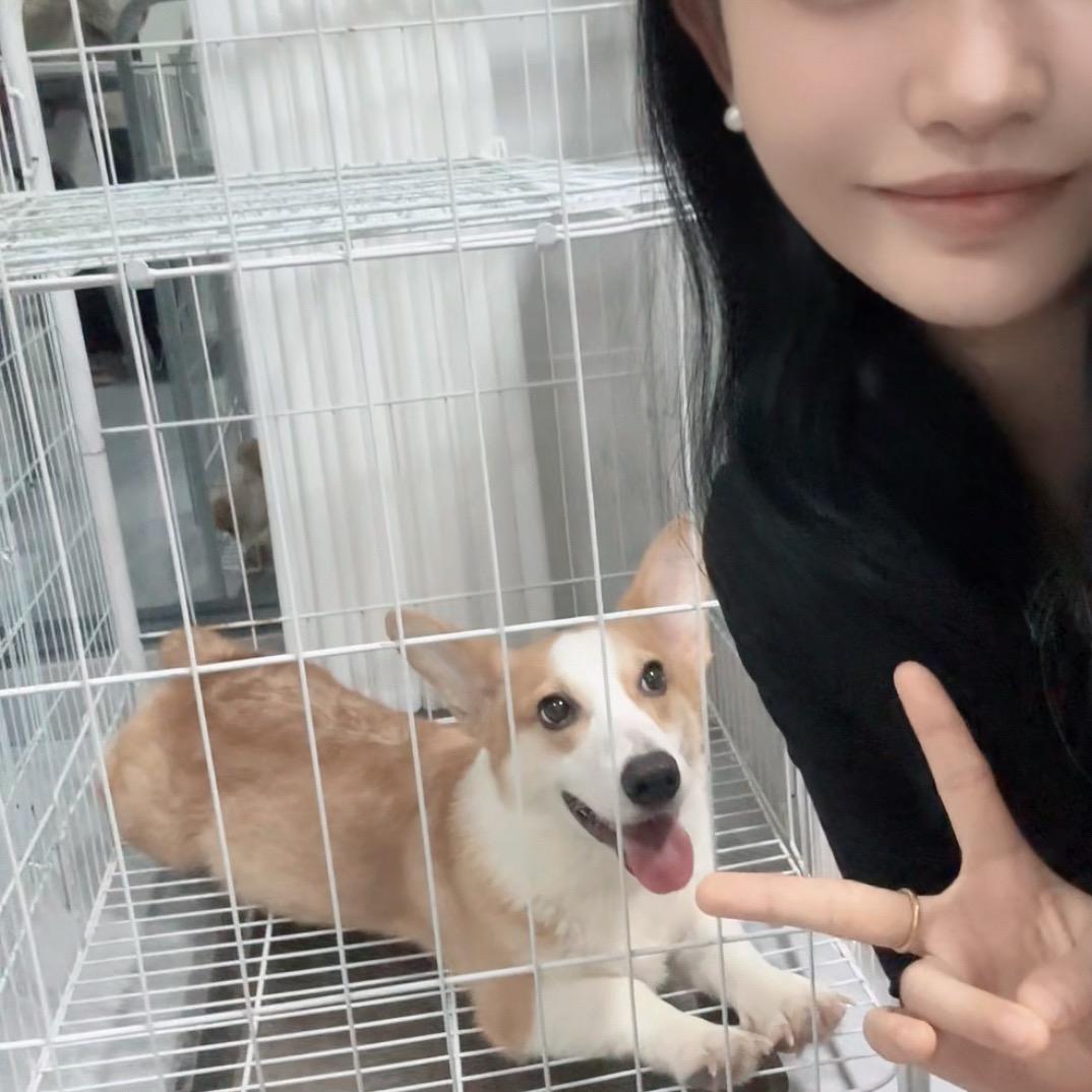 -张香