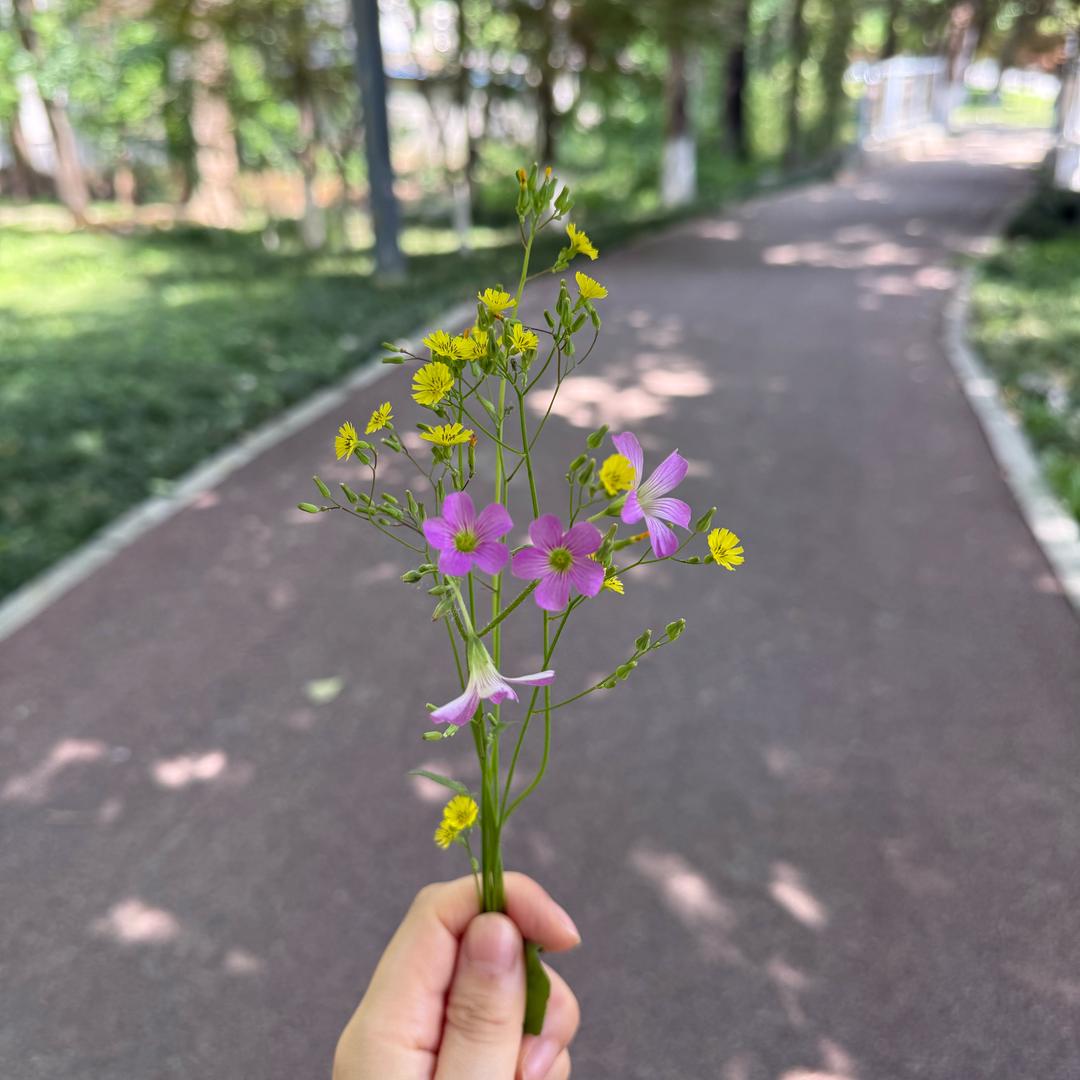 小宇🌱