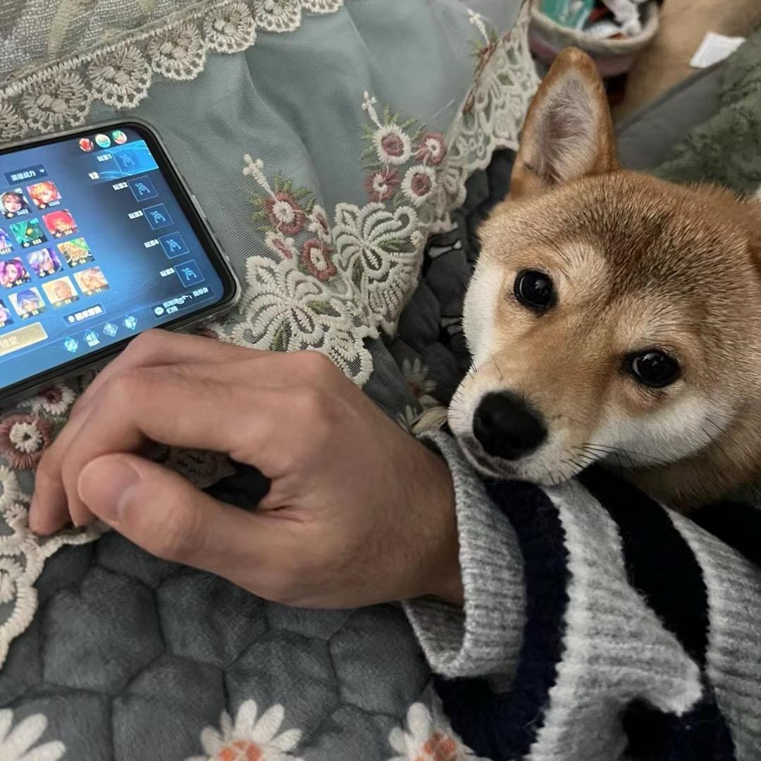 黑粉yi