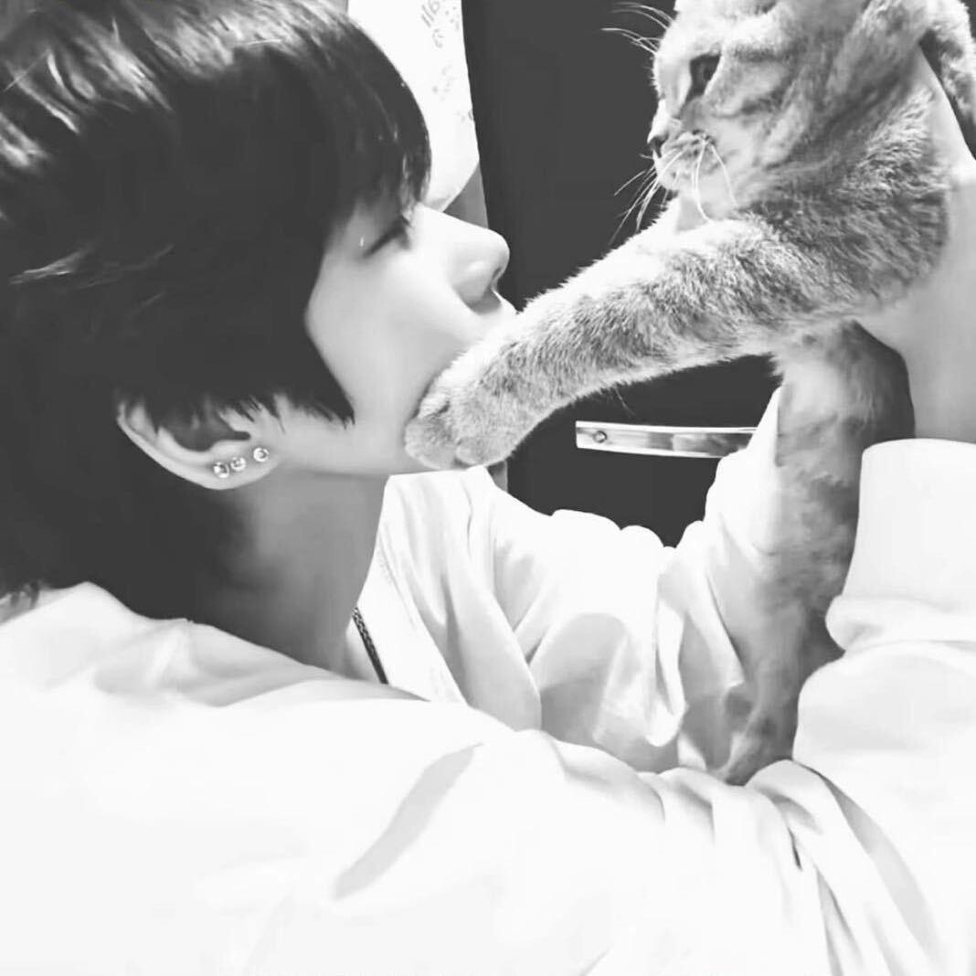 老婆出轨我打瓦