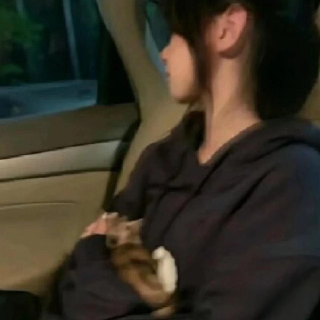 一起等雨停☔️