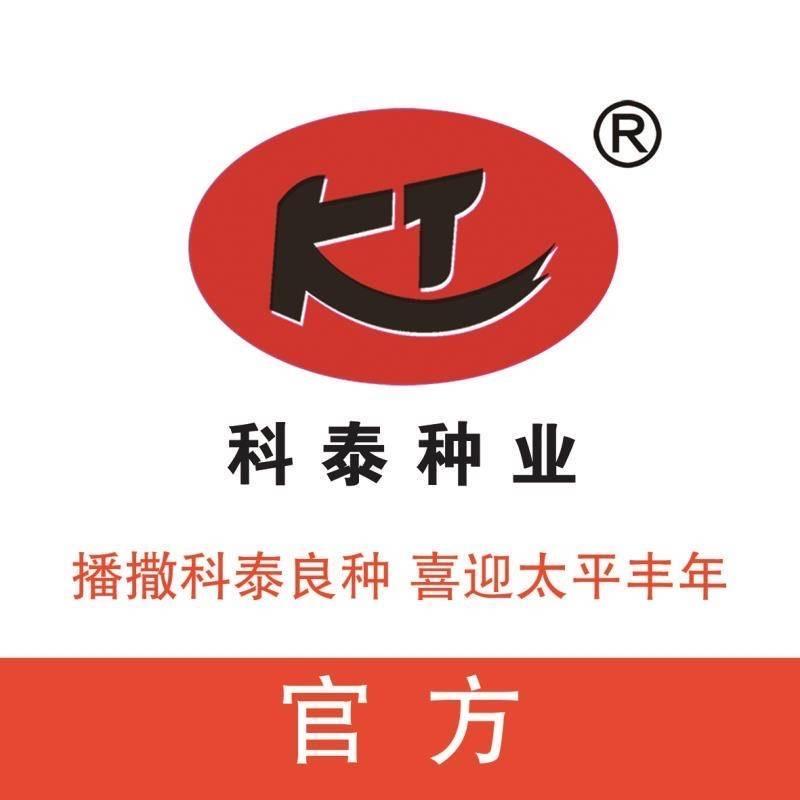 成哥