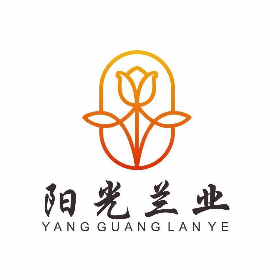 阳光兰业