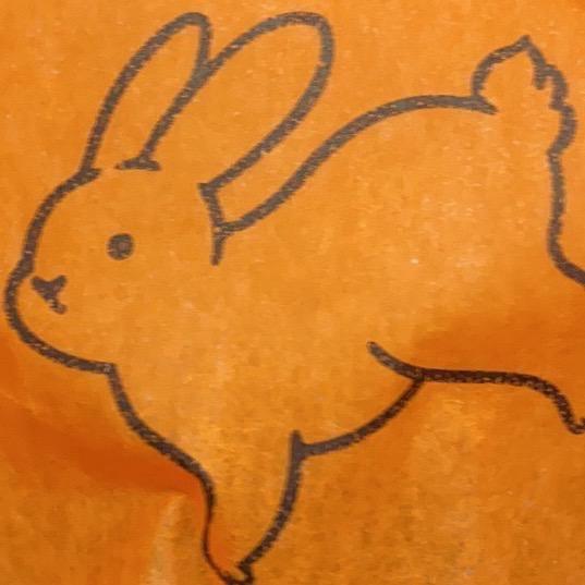 和潮汐一样可爱