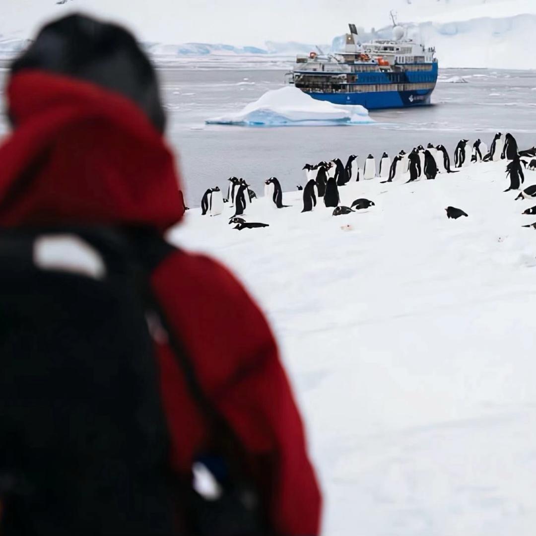 努力睡大觉🌧️