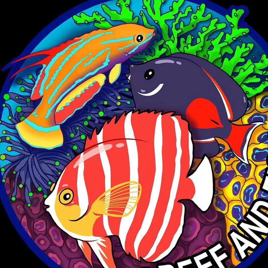 海水幼稚园