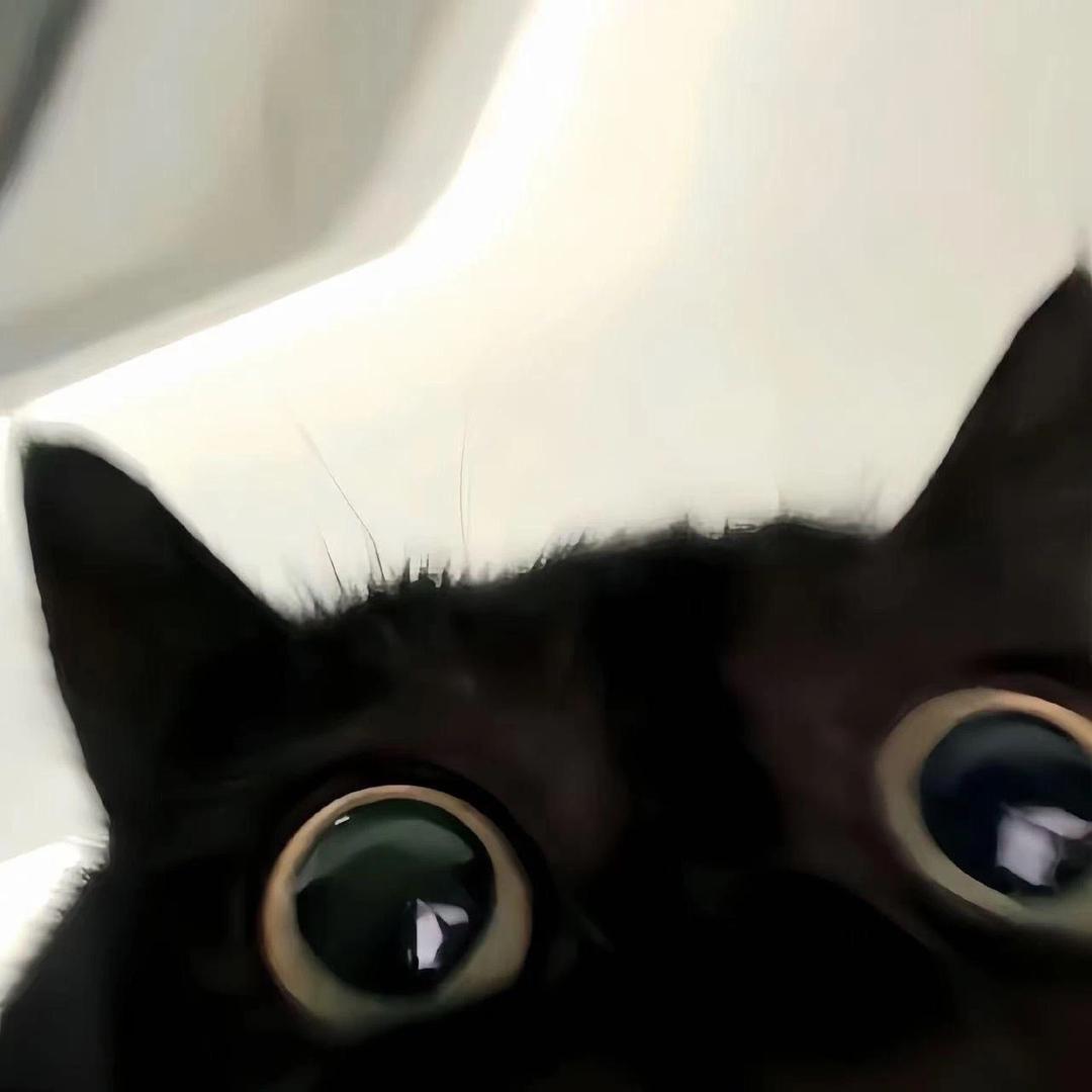 ＾苦尽便是甜.🧊