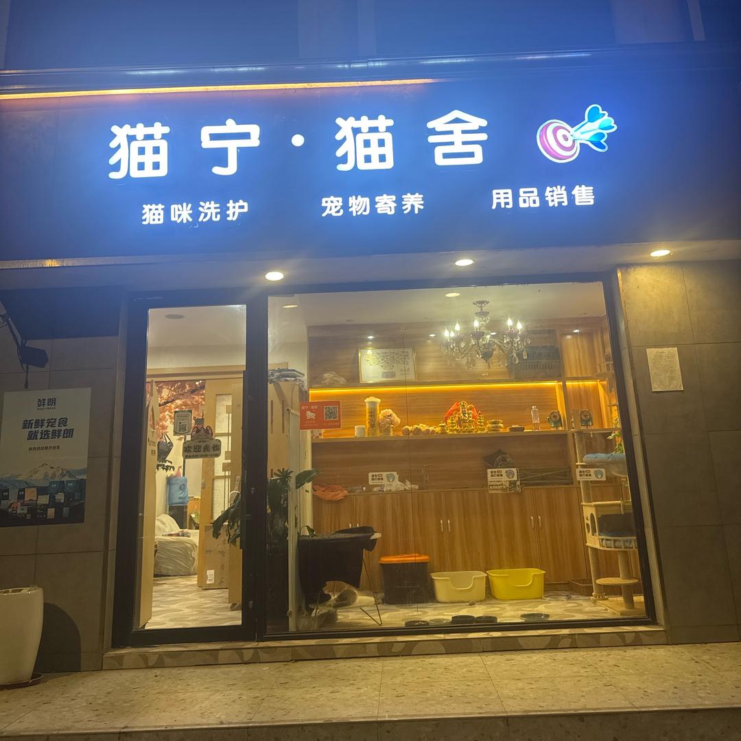 猫宁•猫舍（3）