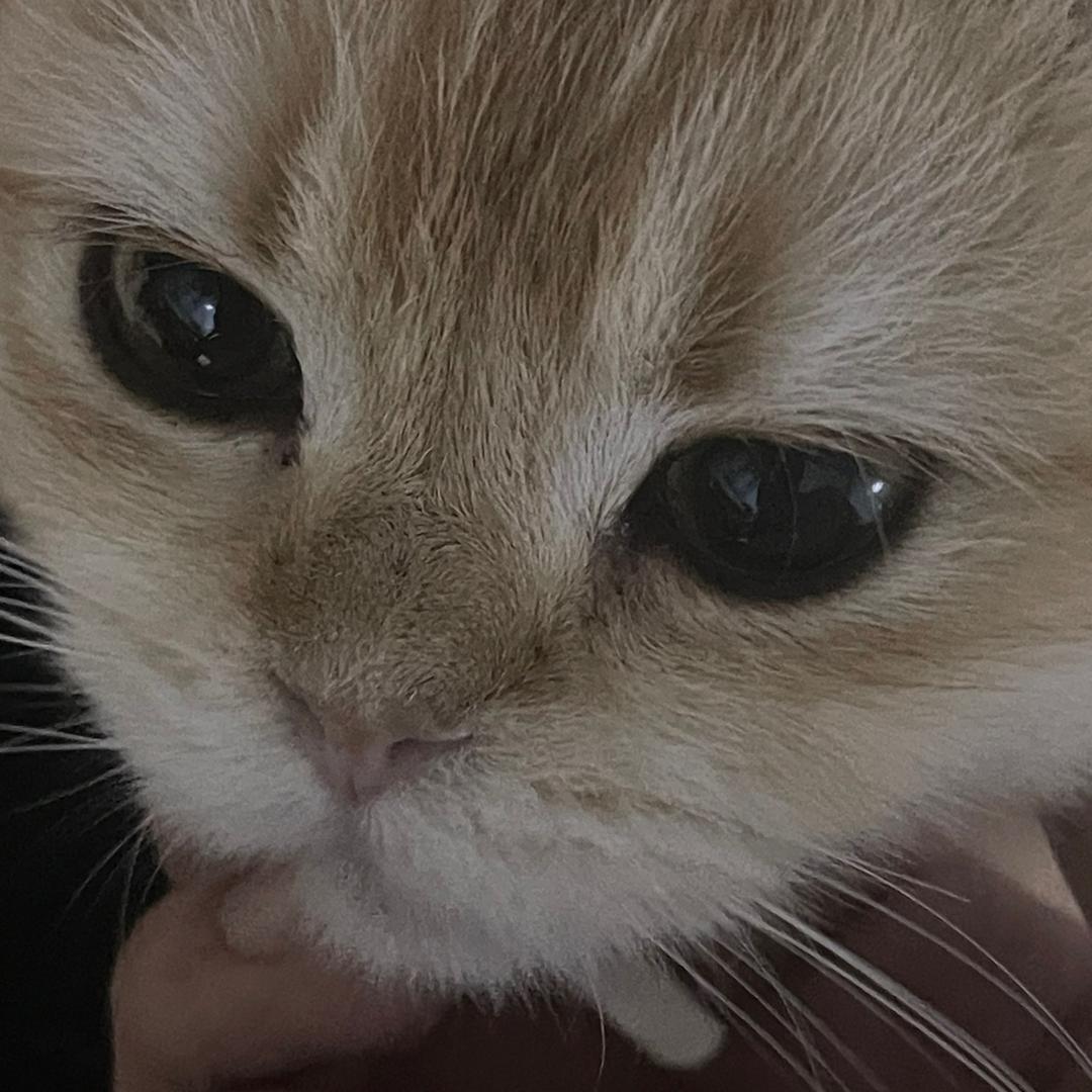 周末我有约了