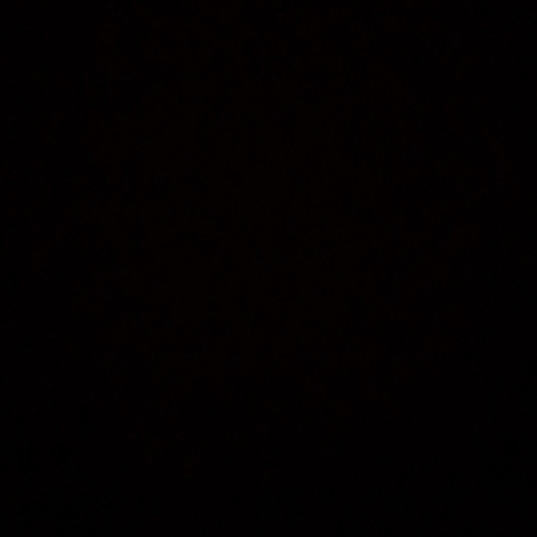3.1