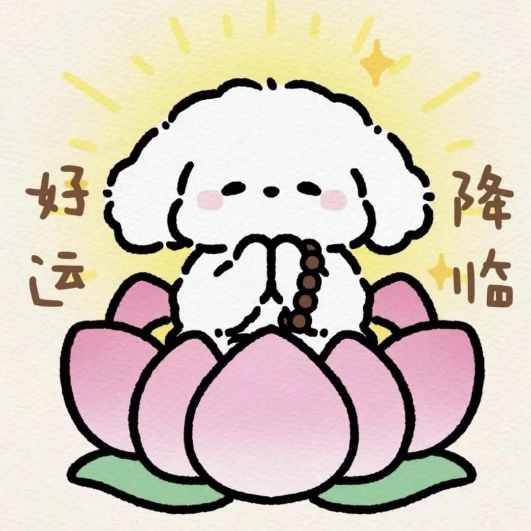 栗栗午相纸铺子
