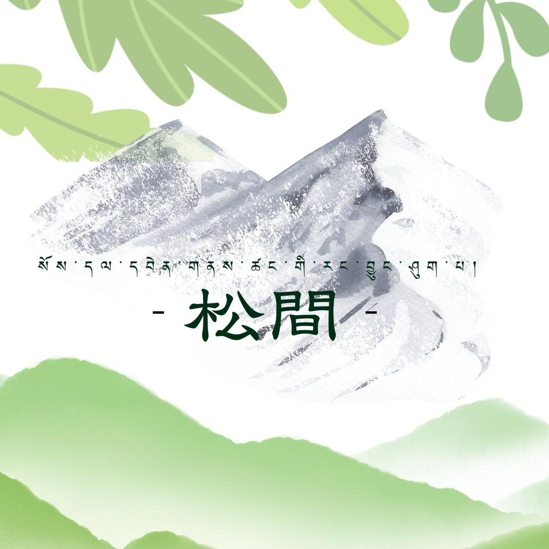 松间藏香柏柏