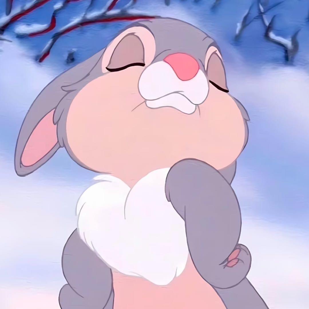 小zhao.