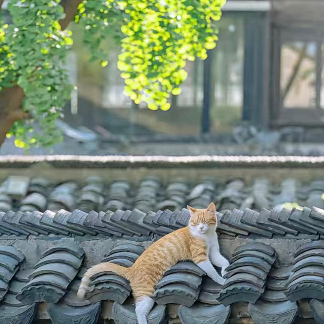 简单、实在、耐心的期待