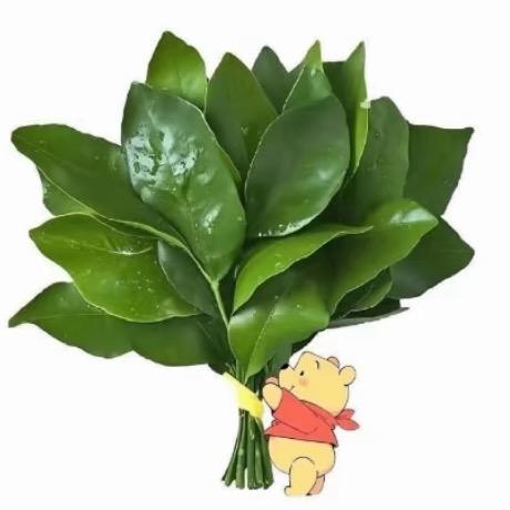 小土豆