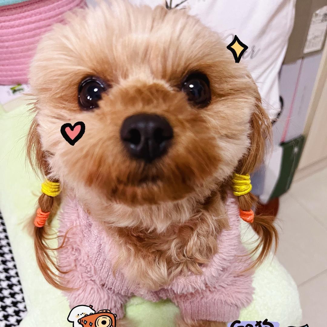 举个栗子🌰