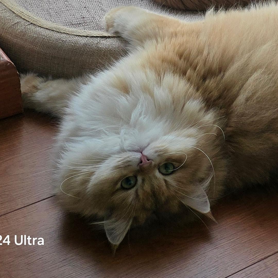 钱从四面八方来🀄️