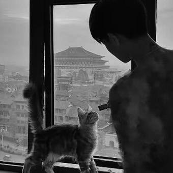 小树.
