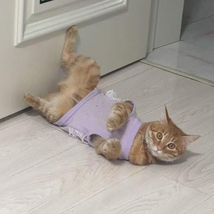 温与柔