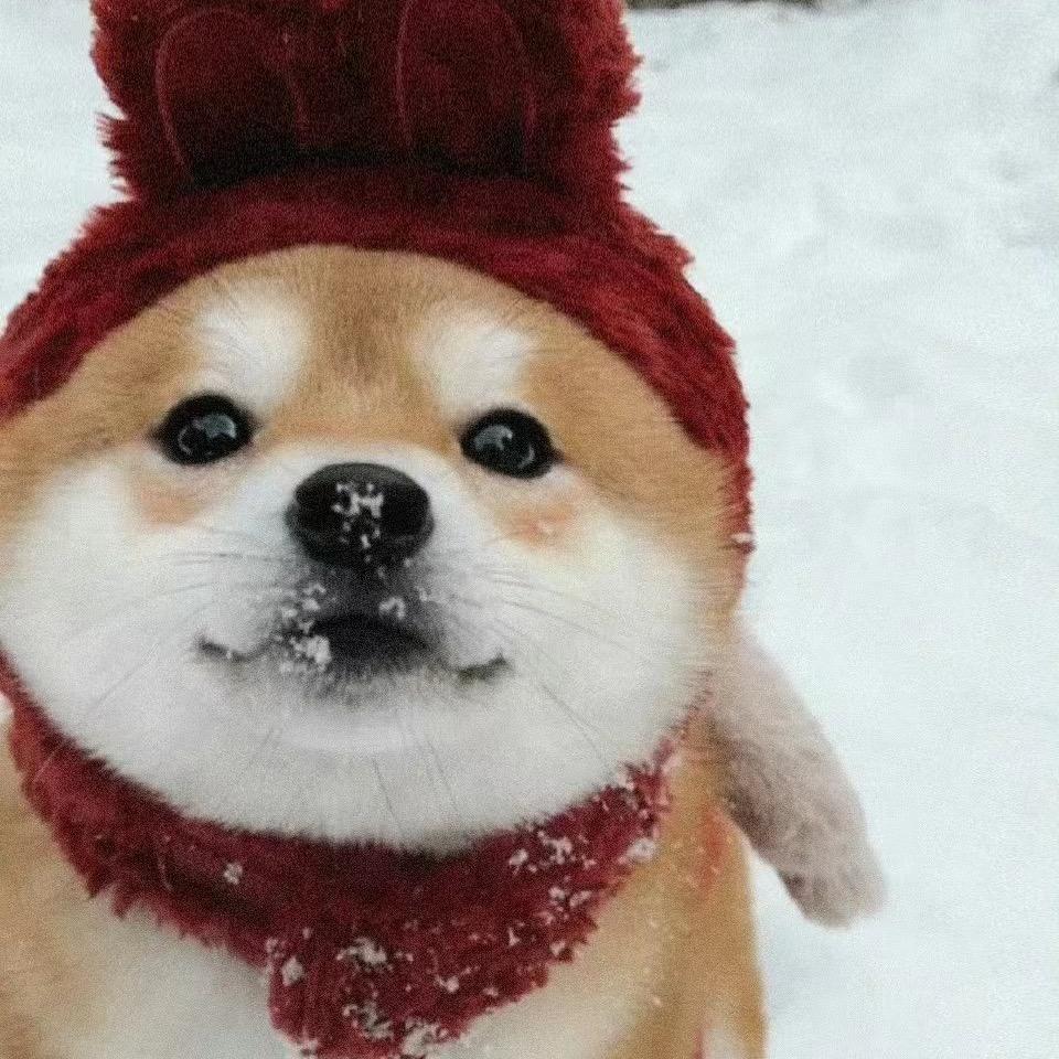 蜜语甜言