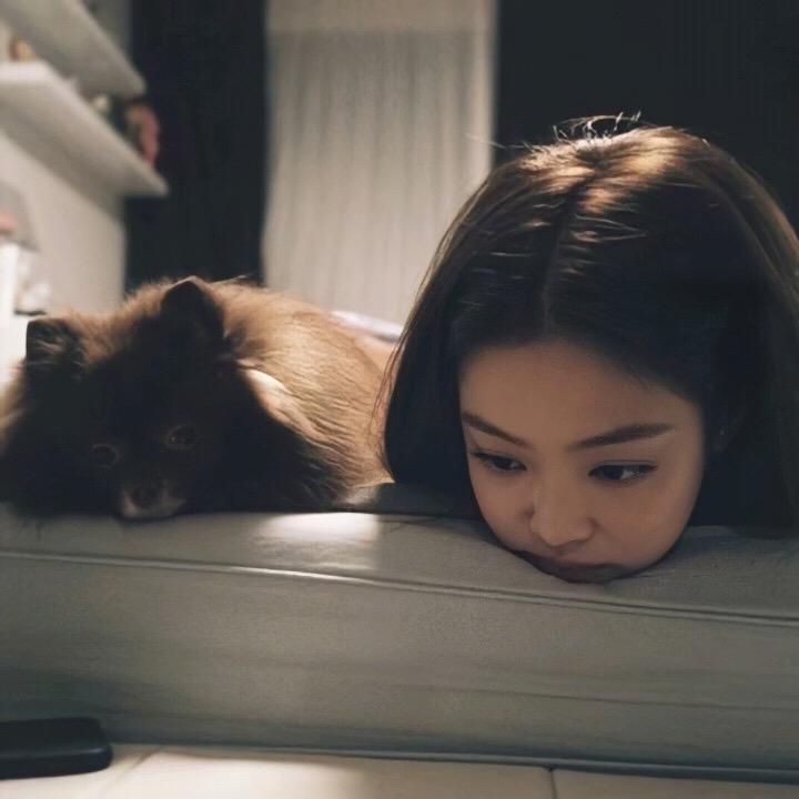 四喜是个丸子