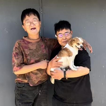 太原爱乐流浪狗小院