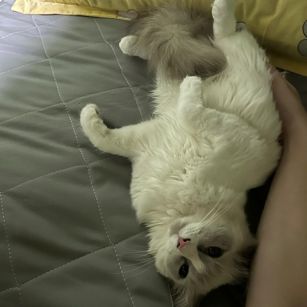 聪明勇敢有力气