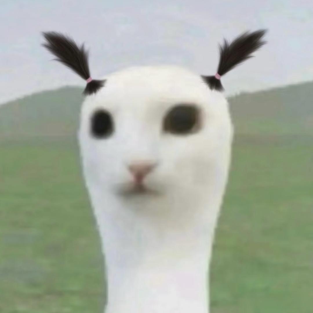 咪