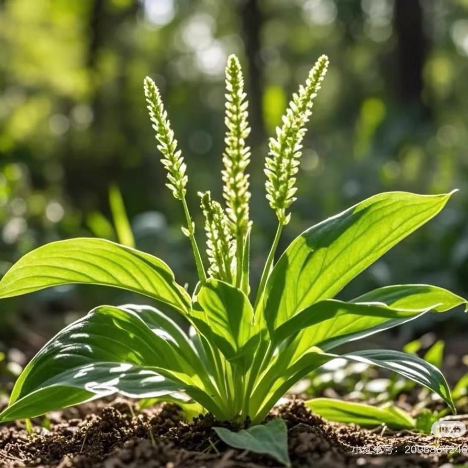 星聚无忧科技优品小铺
