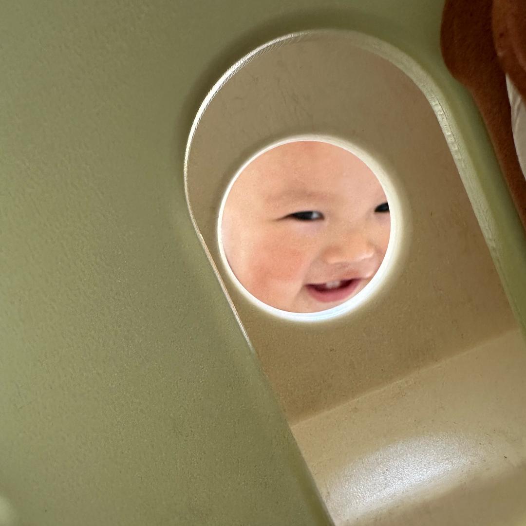 排排坐吃果果🪼