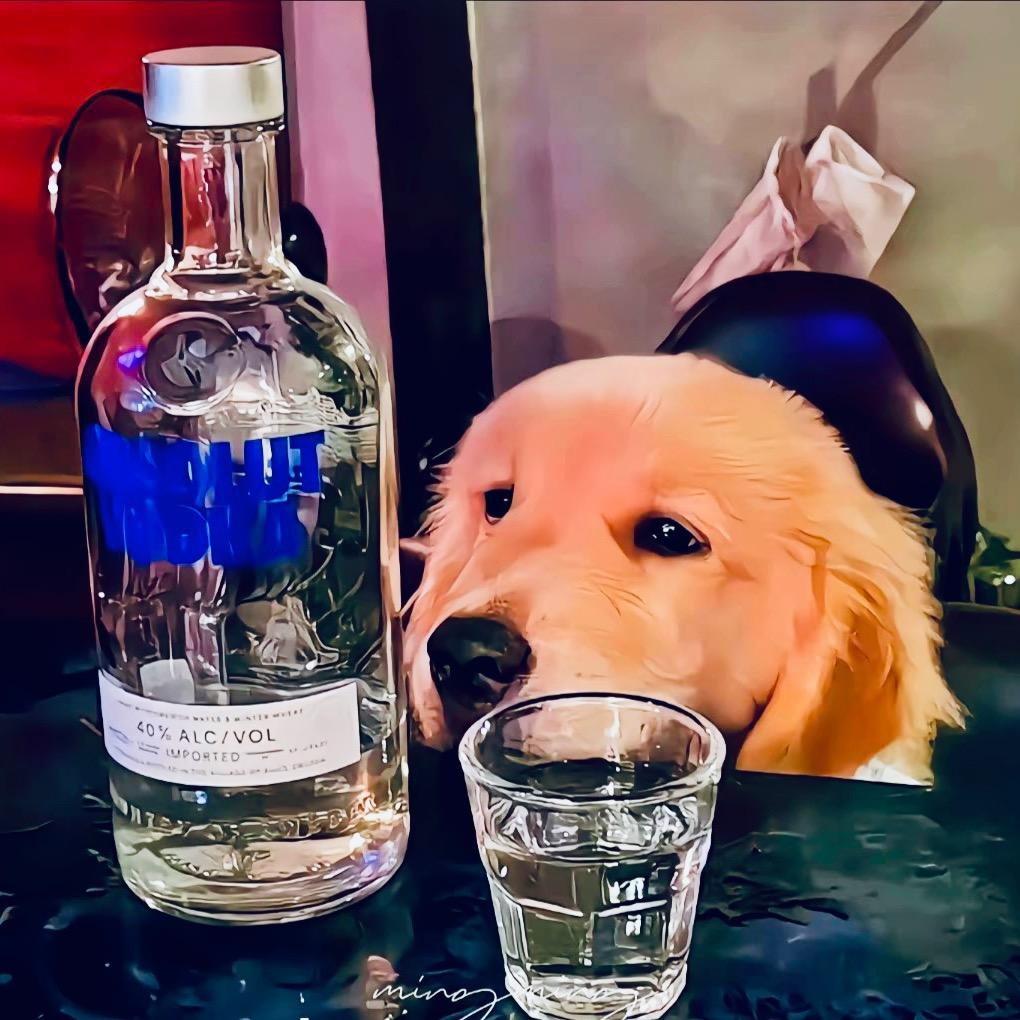 携酒话.春风