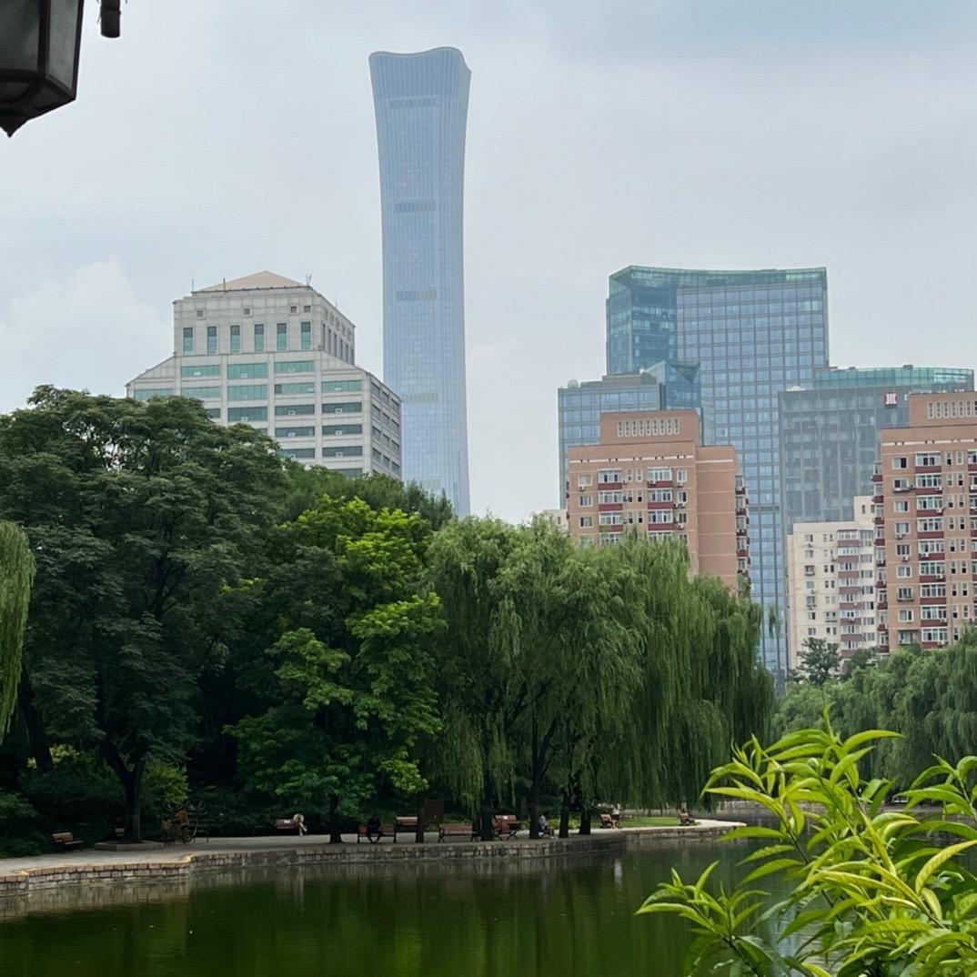 北京陪诊大森