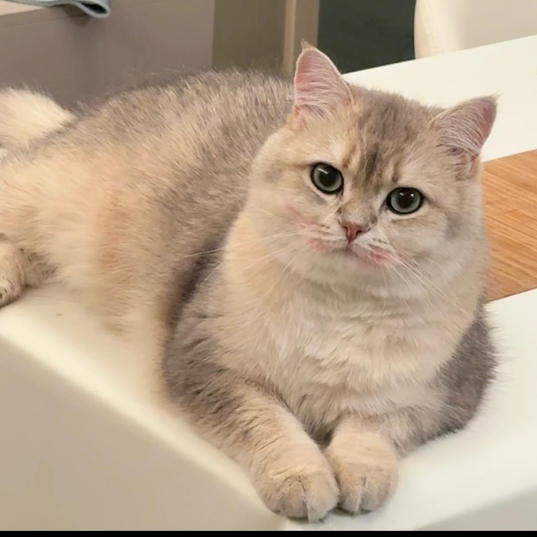 小椰的美丽日常