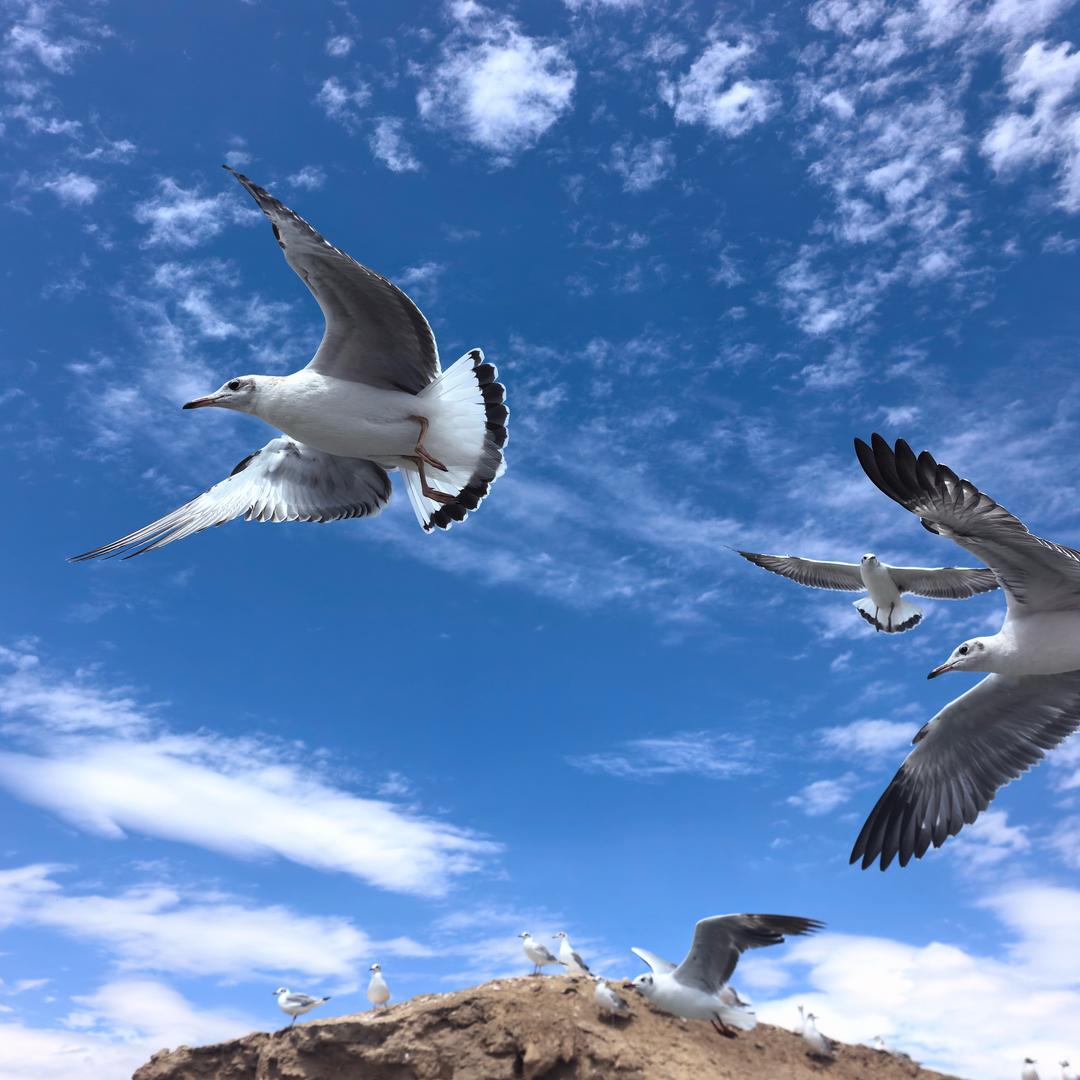 正能量🧚‍♀️🧚‍♀️