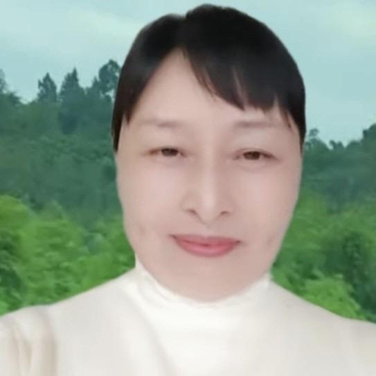 慧姐旅游