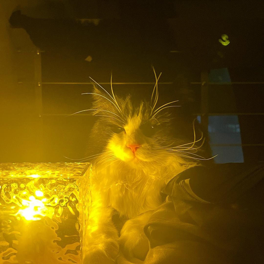 萌芽篮球🏀赵教练