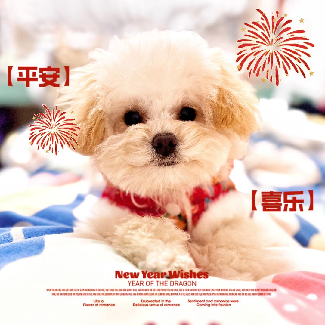 苗妈的小厨房