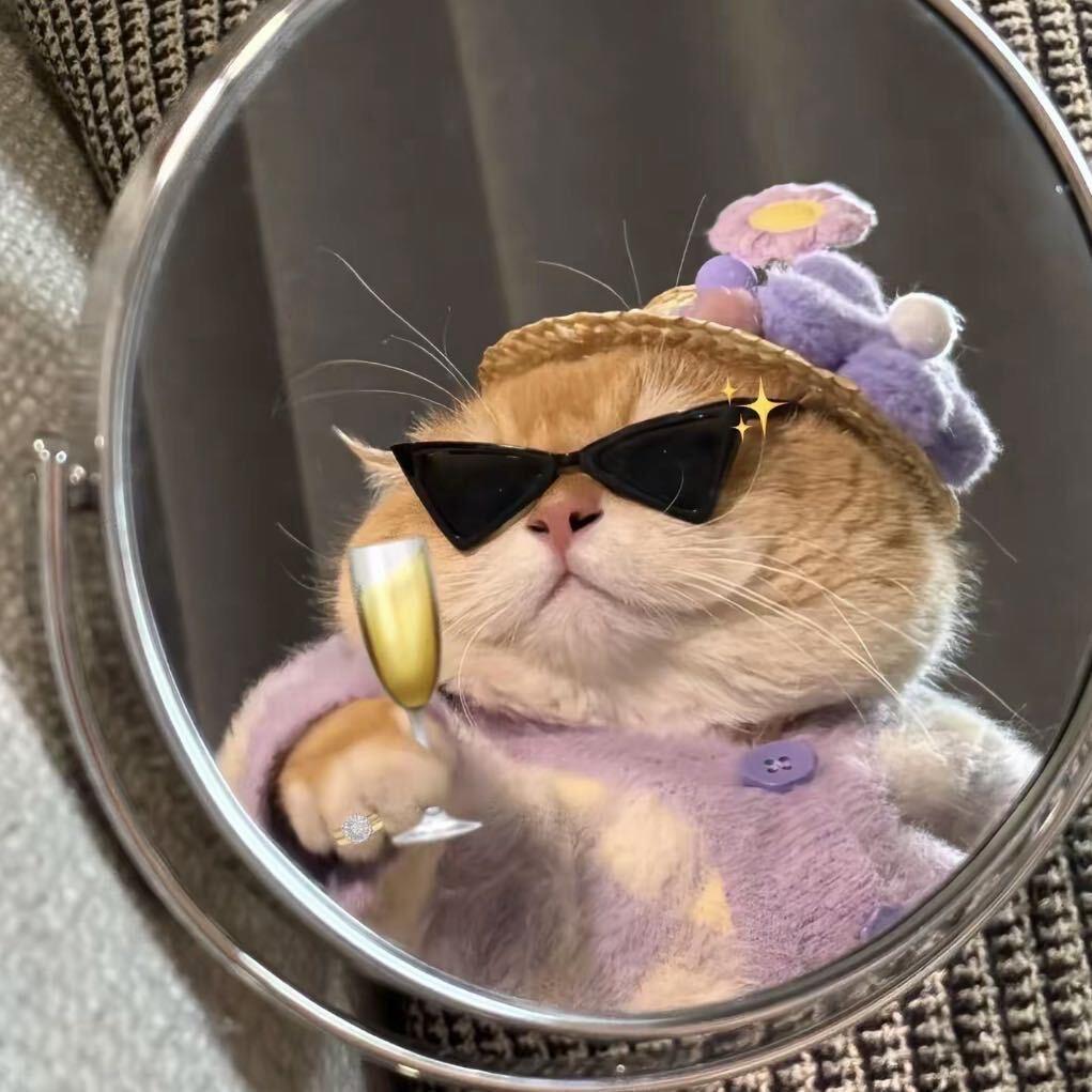 喵喵仙子黄金铺