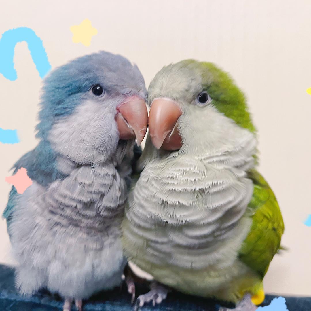 rua鸟空间官方号