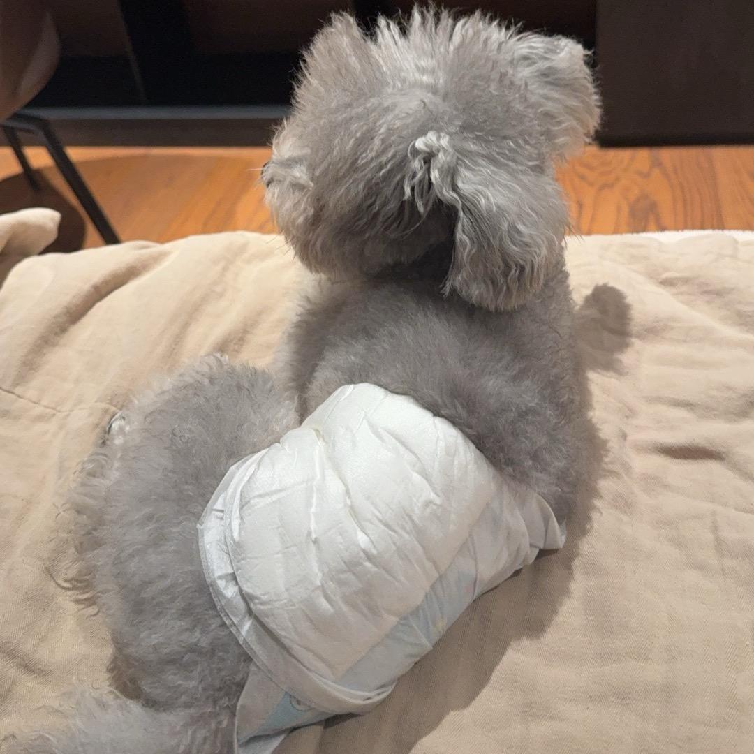 天天爱生活❤️