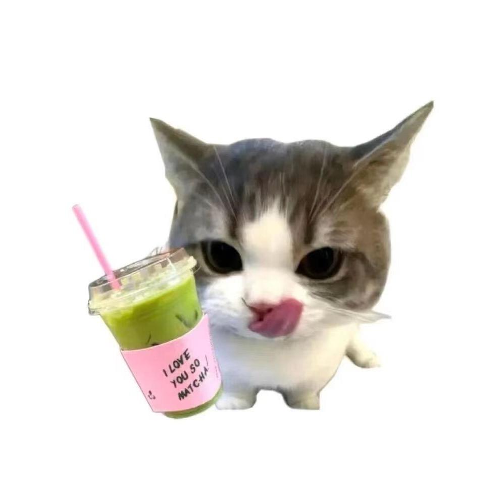 腼腆小琴