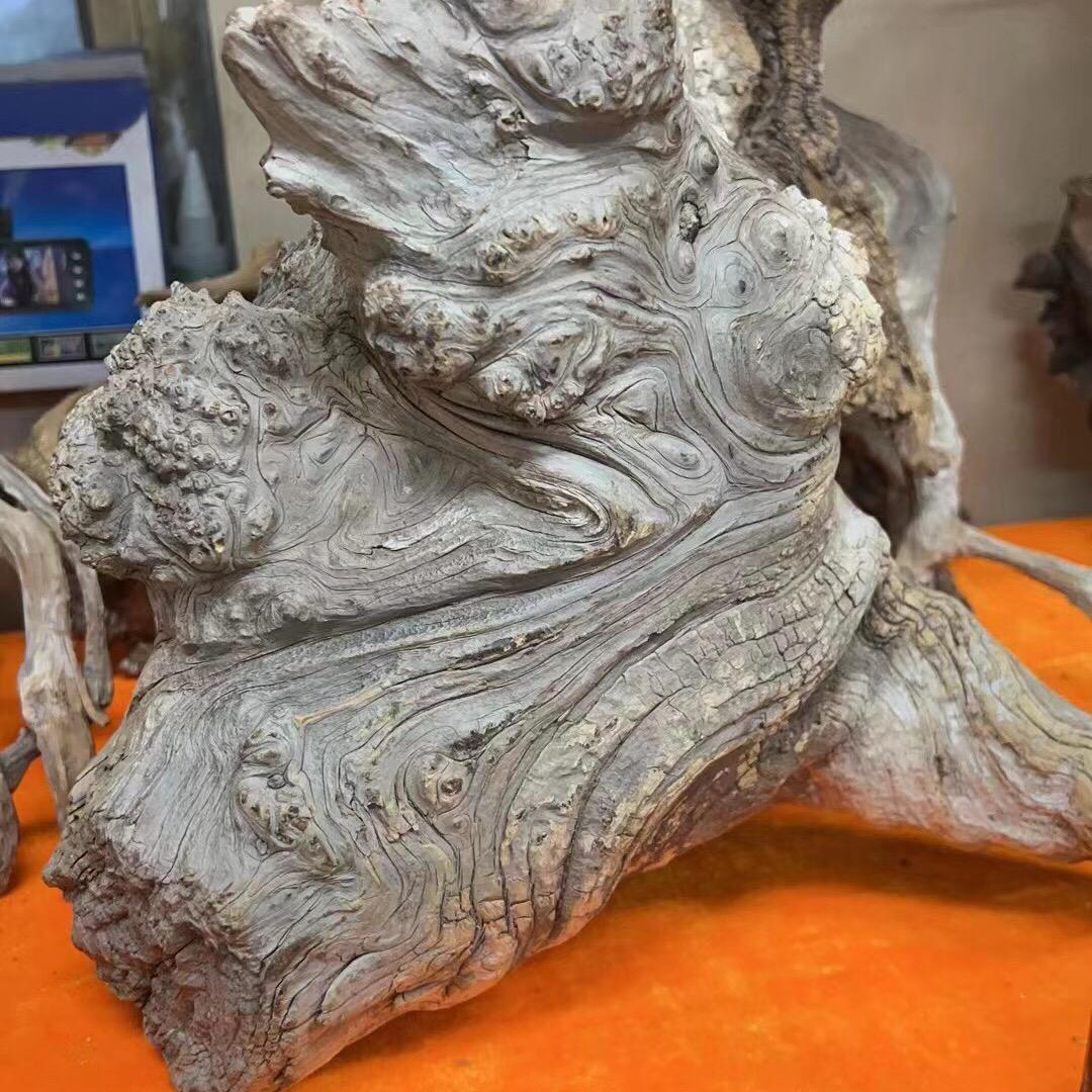 千柏寻根雕摆件