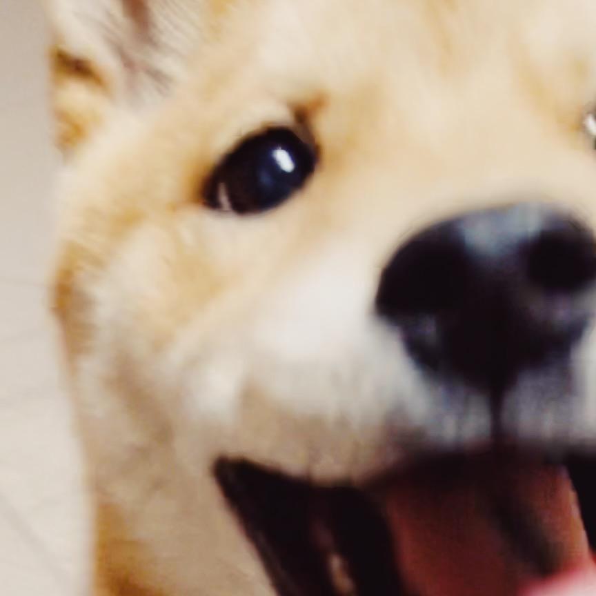 十尃